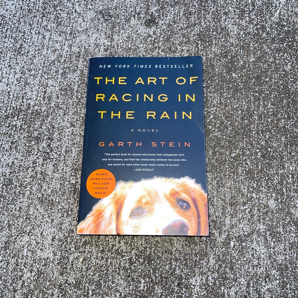 The Art Of Racing In The Rain
